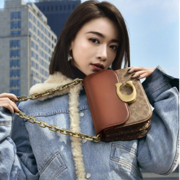 tui-xach-coach-idol-bag-in-signature-canvas-with-snakeskin-detail-cm551-3