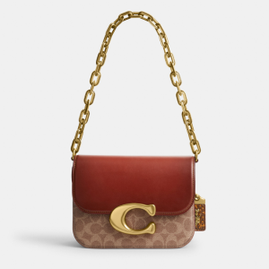 tui-xach-coach-idol-bag-in-signature-canvas-with-snakeskin-detail-cm551-6